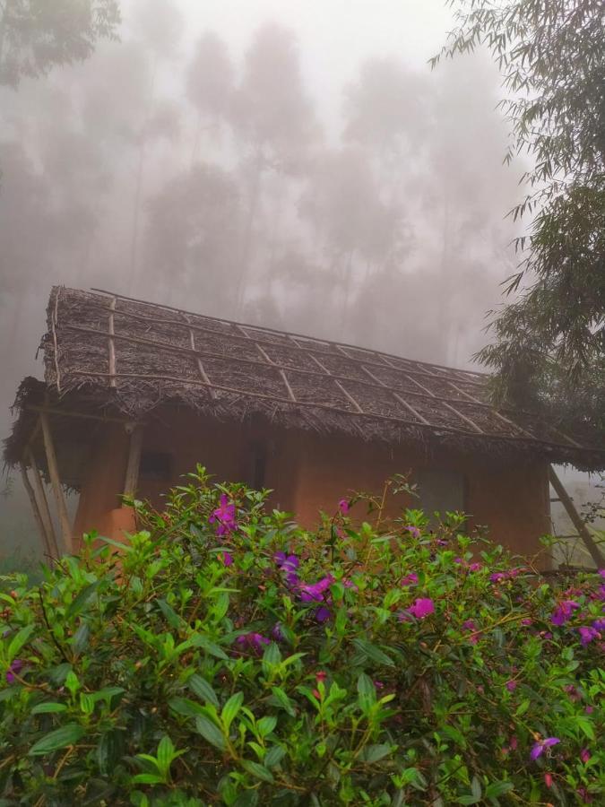 Anandavana Jungle Living By Lexstays - Kanthalloor-Marayur Exteriér fotografie